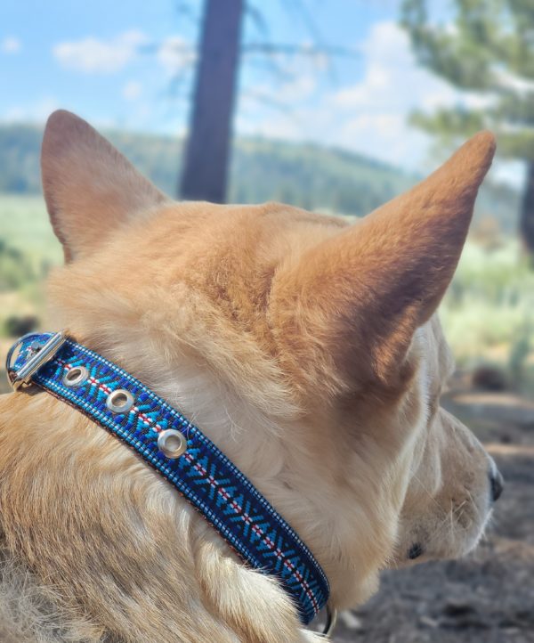 FURRY PATITAS BLUE/RED BUCKLE COLLAR - Image 3